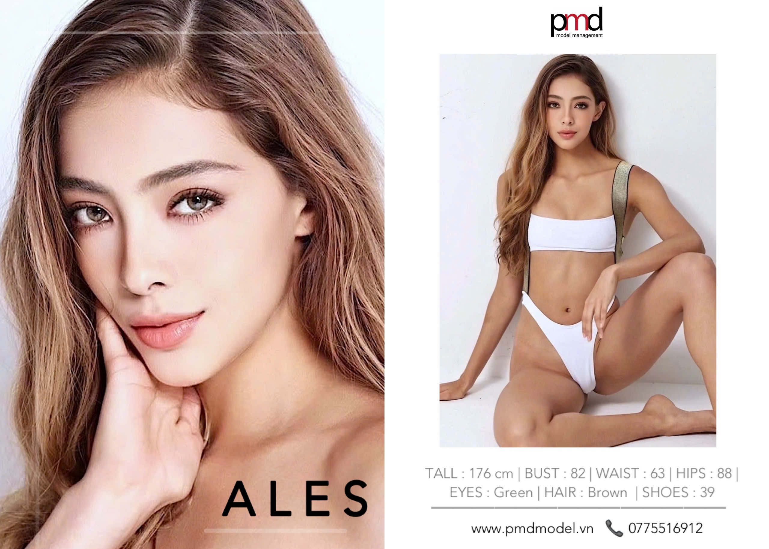 composite card